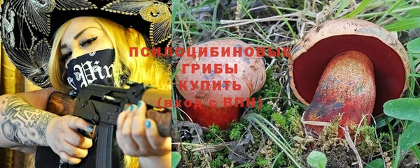 дмт Нефтекумск