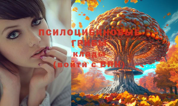 дмт Нефтекумск
