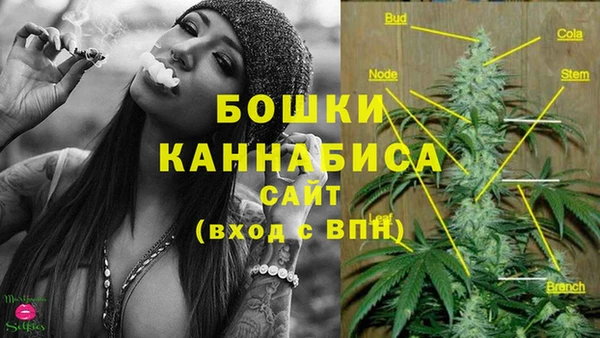 apvp Нея