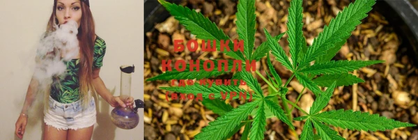 таблы Новодвинск