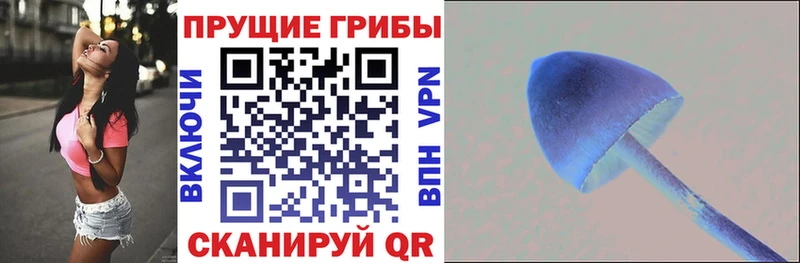 hydra сайт darknet состав Галлюциногенные грибы ЛСД наркотики Зея